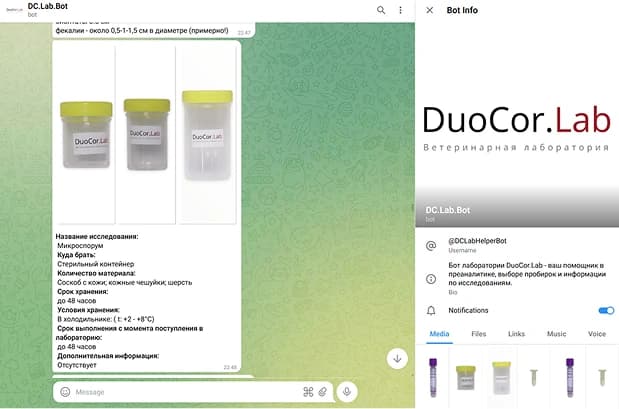 Фотография телеграм бота