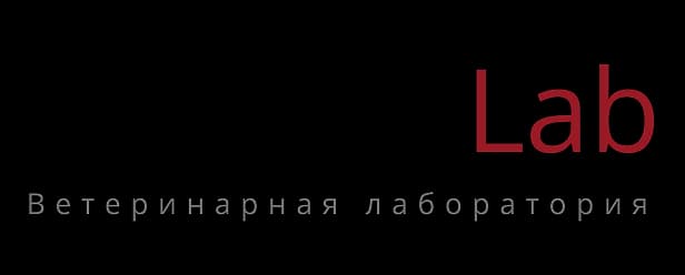Логотип компании